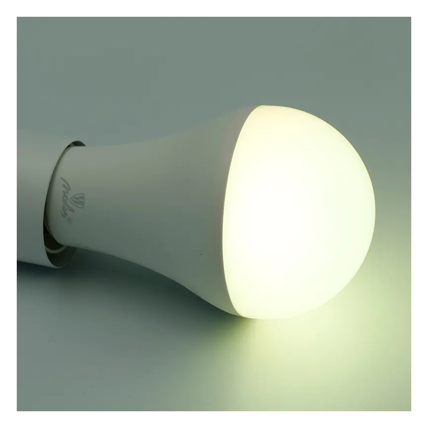 LED RGBW Stmievateľná žiarovka A60 E27/15W/230V 2700-6500K Wi-Fi Tuya