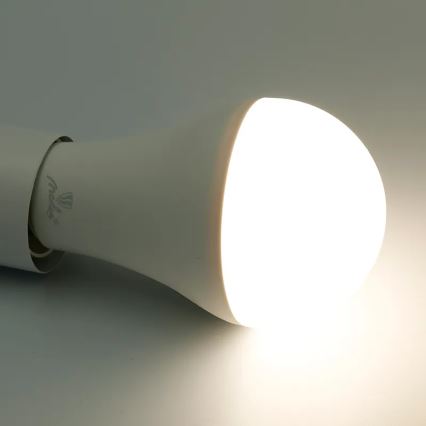 LED RGBW Stmievateľná žiarovka A60 E27/15W/230V 2700-6500K Wi-Fi Tuya