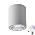 LED RGBW Stmievateľné bodové svietidlo JUPITER 1xE27/6,5W/230V 2700-6500K Wi-Fi pr. 9,8 cm šedá