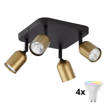 LED RGBW Stmievateľné bodové svietidlo TOP 4xGU10/6,5W/230V 2700-6500K zlatá/čierna