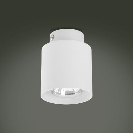 LED RGBW Stmievateľné bodové svietidlo VICO 1xGU10/6,5W/230V 2700-6500K