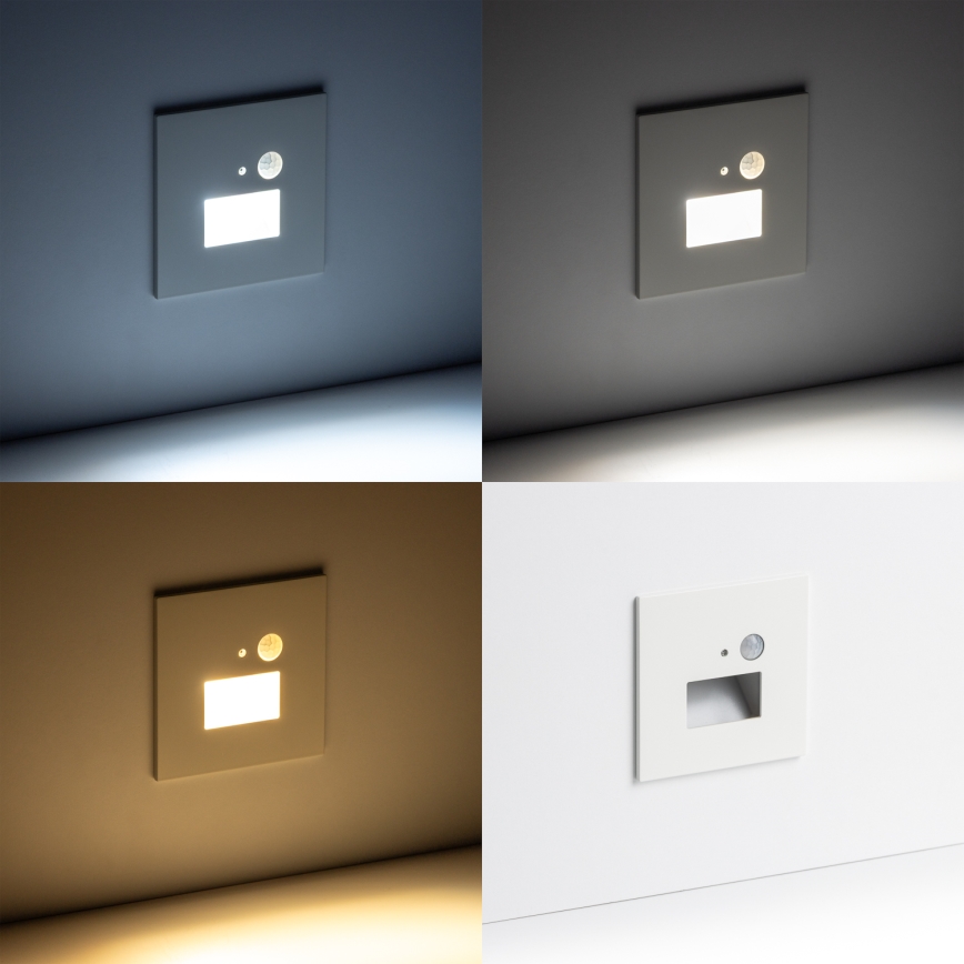 LED schodiskové svietidlo so snímačom pohybu a súmraku LED/1,5W/230V 3000/4000/6500K biela