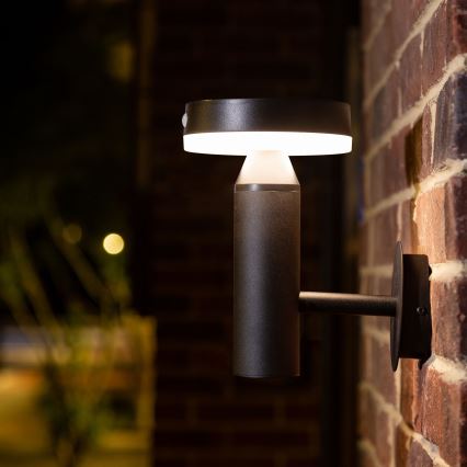 LED Solárne nástenné svietidlo so senzorom GWINEA LED/4,5W/3,7V IP44 čierna