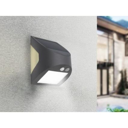 LED solárne nástenné svietidlo so senzorom LED/3W/3,7V 3000/4000K 1200 mAh IP54 antracit