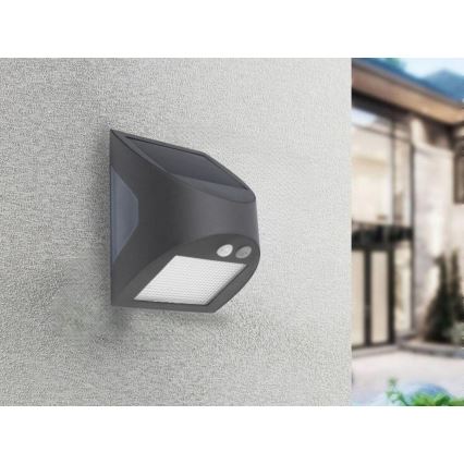 LED solárne nástenné svietidlo so senzorom LED/3W/3,7V 3000/4000K 1200 mAh IP54 antracit