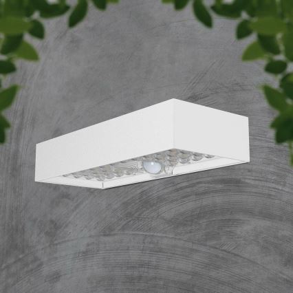 LED Solárne nástenné svietidlo so senzorom LED/6W/3,7V IP65 4000K 3000 mAh biela