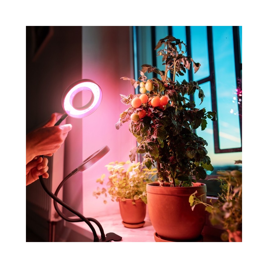 LED Stmievateľná flexibilná stolná lampa s klipom na pestovanie rastlín VITARO 2xLED/4W/230V čierna