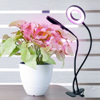 LED Stmievateľná flexibilná stolná lampa s klipom na pestovanie rastlín VITARO 2xLED/4W/230V čierna