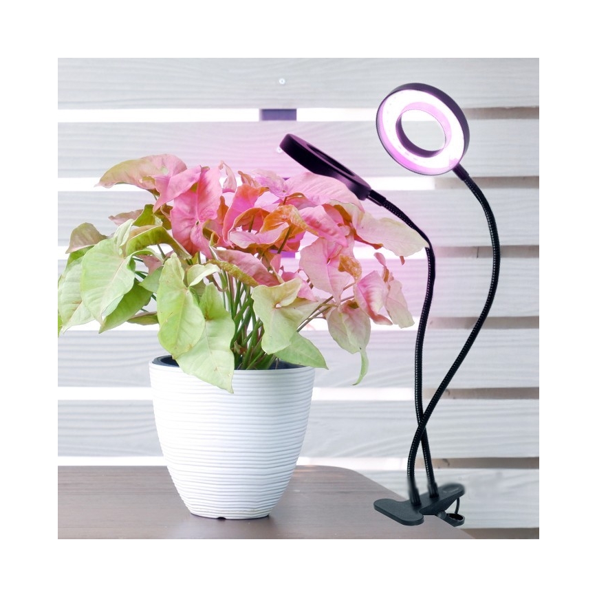 LED Stmievateľná flexibilná stolná lampa s klipom na pestovanie rastlín VITARO 2xLED/4W/230V čierna
