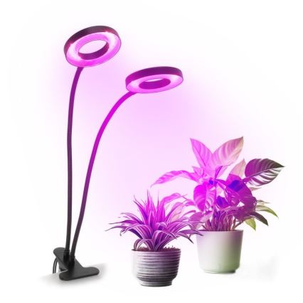 LED Stmievateľná flexibilná stolná lampa s klipom na pestovanie rastlín VITARO 2xLED/4W/230V čierna