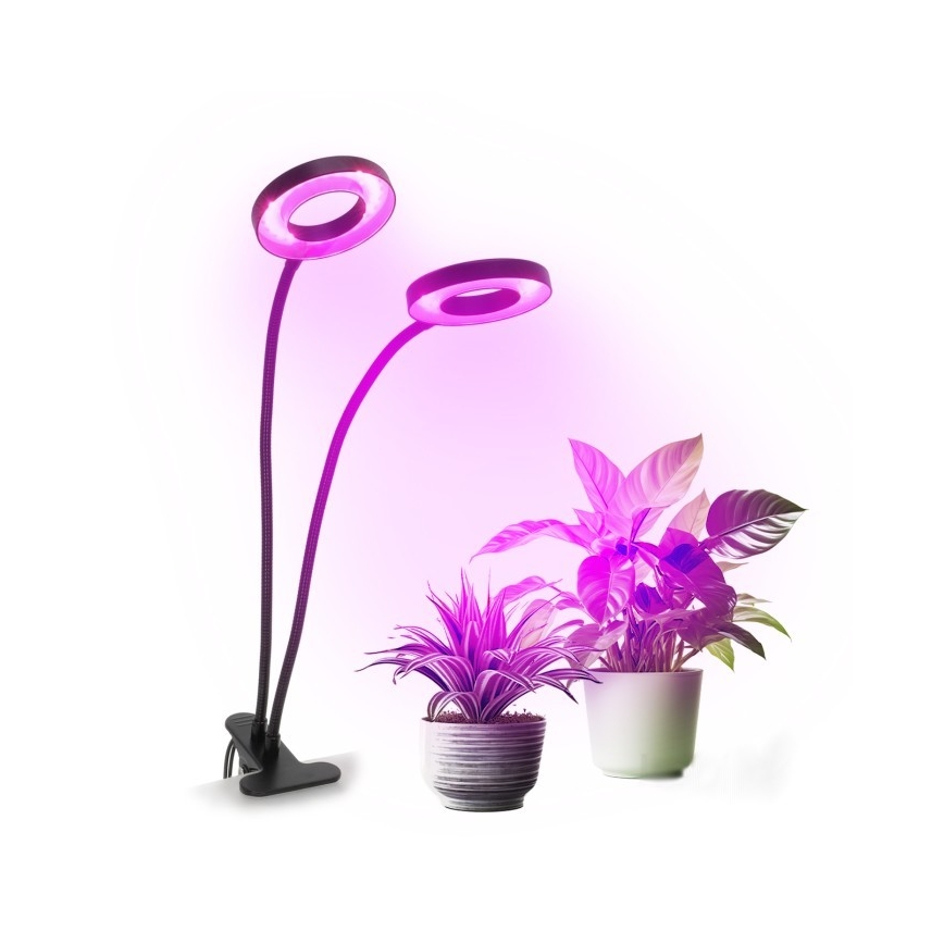 LED Stmievateľná flexibilná stolná lampa s klipom na pestovanie rastlín VITARO 2xLED/4W/230V čierna