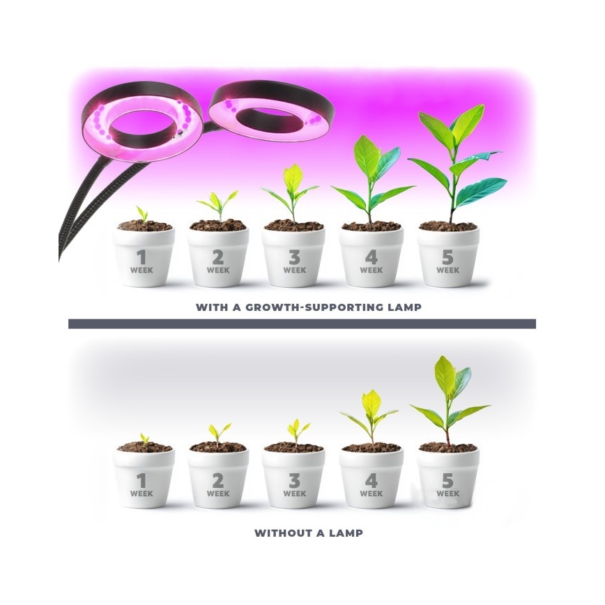 LED Stmievateľná flexibilná stolná lampa s klipom na pestovanie rastlín VITARO 2xLED/4W/230V čierna