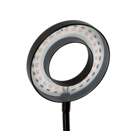 LED Stmievateľná flexibilná stolná lampa s klipom na pestovanie rastlín VITARO 2xLED/4W/230V čierna