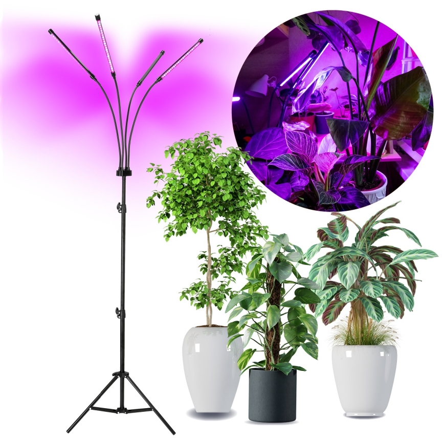 LED Stmievateľná flexibilná stojacia lampa na pestovanie rastlín VITARO 4xLED/7,5W/230V čierna