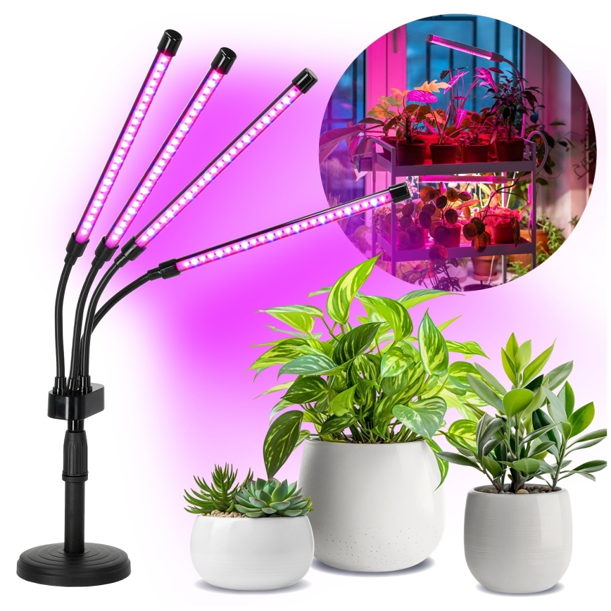 LED Stmievateľná flexibilná stolná lampa na pestovanie rastlín VITARO 4xLED/10W/230V čierna