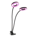 LED Stmievaťelná flexibilná stolová lampa s klipom na pestovanie rastlín VITARO 2xLED/4W/230V čierna