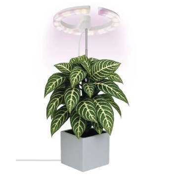 LED Stmievateľná interiérová lampa na pestovanie rastlín GROW LED/8W/5V