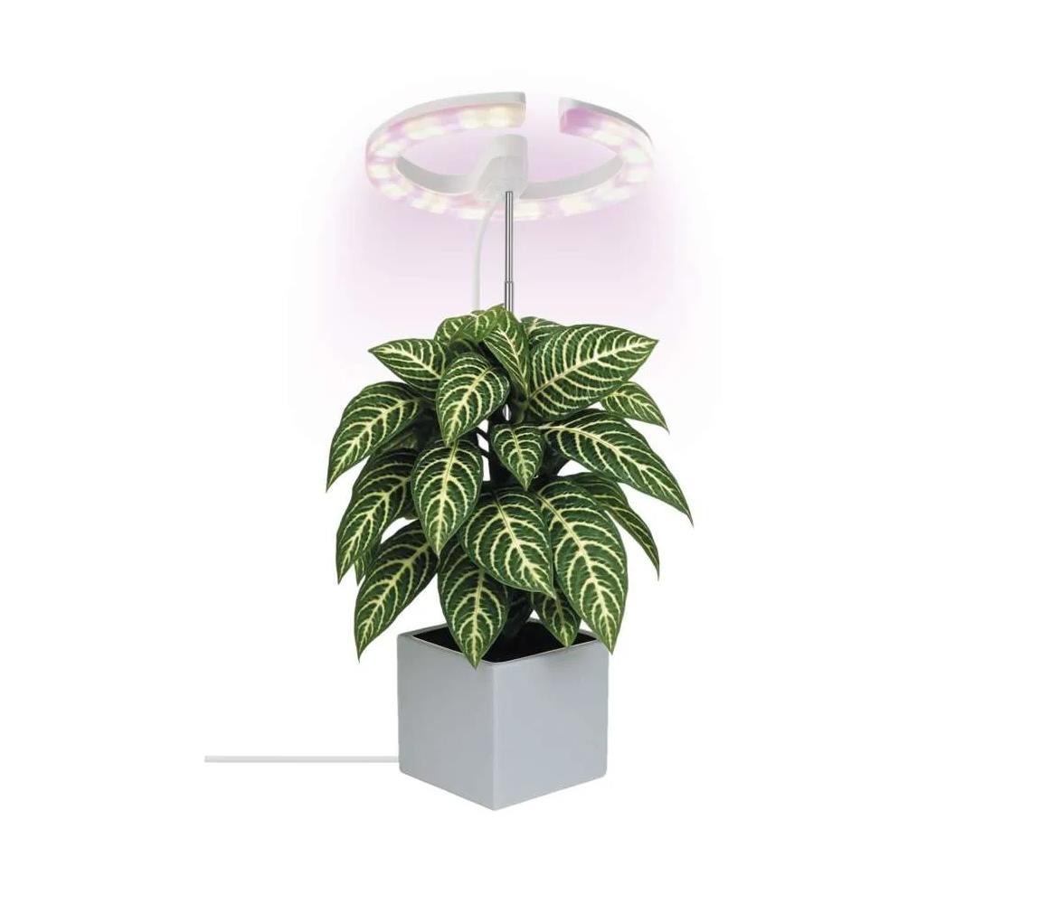 LED Stmievateľná interiérová lampa na pestovanie rastlín GROW LED/8W/5V Z7902