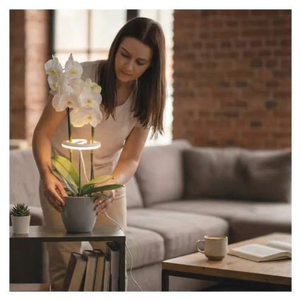 LED Stmievateľná interiérová lampa na pestovanie rastlín GROW LED/8W/5V