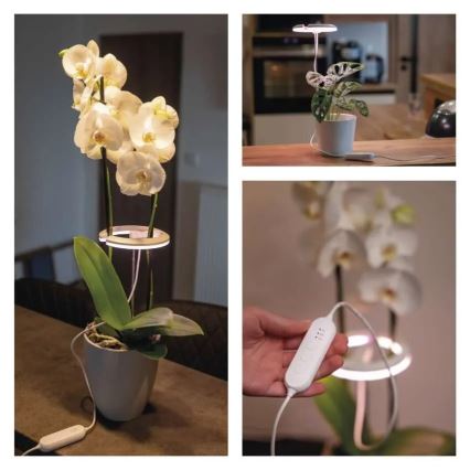 LED Stmievateľná interiérová lampa na pestovanie rastlín GROW LED/8W/5V