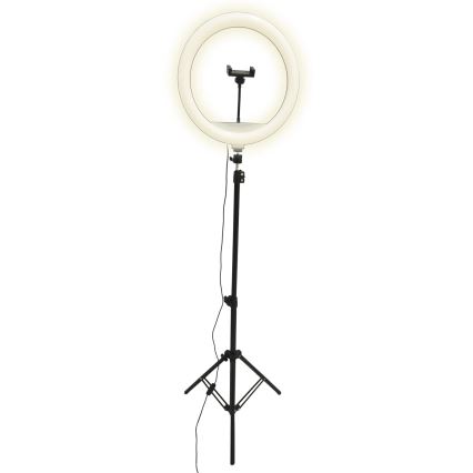 LED Stmievateľná lampa so statívom a držiakom na vlogovanie LED/15W/5V 2700-6500K