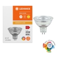 LED Stmievateľná reflektorová žiarovka MR16 GU5,3/6,6W/12V 3000K 36° CRI 97 - Ledvance