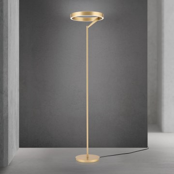 LED Stmievateľná stojacia lampa KOLK LED/40W/230V 2700/4000K zlatá