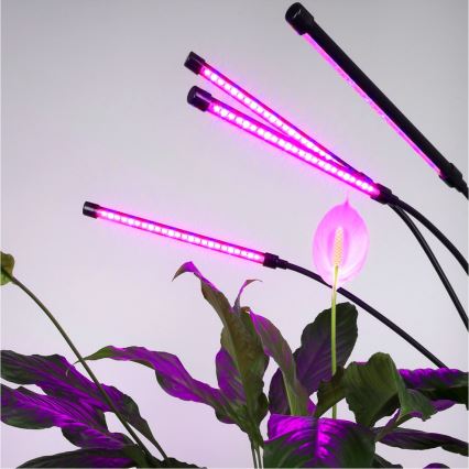 LED Stmievateľná flexibilná stojacia lampa na pestovanie rastlín VITARO 4xLED/7,5W/230V čierna