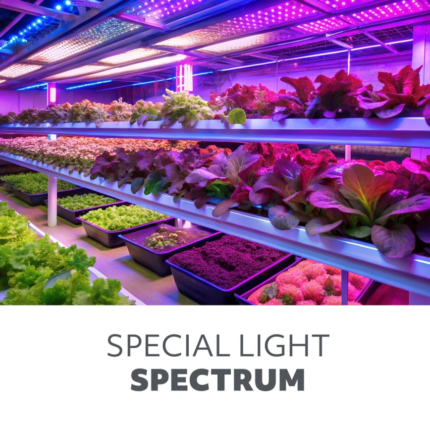 LED Stmievateľná flexibilná stojacia lampa na pestovanie rastlín VITARO 4xLED/7,5W/230V čierna