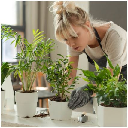 LED Stmievateľná stolová lampa na pestovanie rastlín VERDI LED/5W/5V 1300K CRI 95 biela