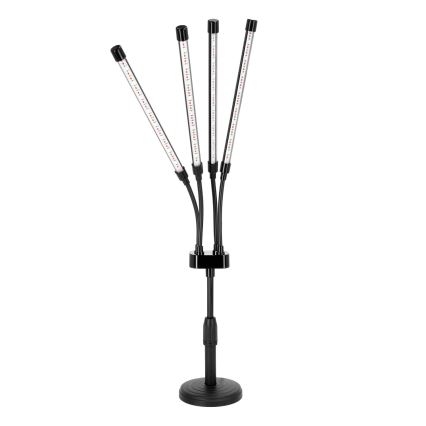 LED Stmievateľná flexibilná stolná lampa na pestovanie rastlín VITARO 4xLED/10W/230V čierna