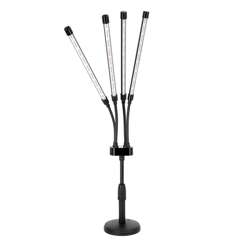 LED Stmievateľná flexibilná stolná lampa na pestovanie rastlín VITARO 4xLED/10W/230V čierna