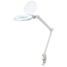 LED Stmievateľná stolná lampa s lupou LED/10W/230V biela