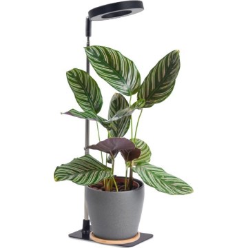 LED stmievateľná stolová lampa na pestovanie rastlín VERDI LED/5W/5V 1300K CRI 95 čierna