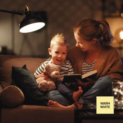 LED Stmievateľná žiarovka A60 E27/10,5W/230V 2700K