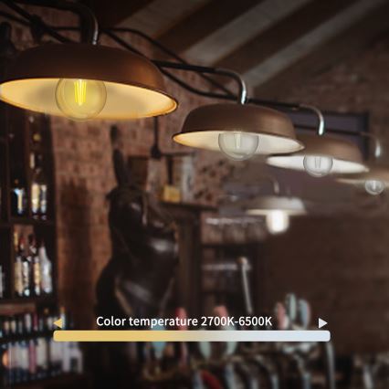 LED Stmievateľná žiarovka FILAMENT G45 E27/4,5W/230V 2700-6500K Wi-Fi - Aigostar