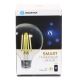 LED Stmievateľná žiarovka FILAMENT G95 E27/6W/230V 2700-6500K Wi-Fi - Aigostar