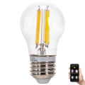 LED Stmievateľná žiarovka FILAMENT MESH Smart G45 E27/4,5W/230V 2700-6500K - Aigostar