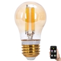 LED Stmievateľná žiarovka FILAMENT MESH Smart G45 E27/4,5W/230V 2700-6500K - Aigostar