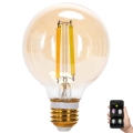 LED Stmievateľná žiarovka FILAMENT MESH Smart G80 E27/6W/230V 2700-6500K - Aigostar