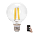 LED Stmievateľná žiarovka FILAMENT MESH Smart G95 E27/6W/230V 2700-6500K - Aigostar