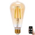 LED Stmievateľná žiarovka FILAMENT MESH Smart ST64 E27/6W/230V 2700-6500K - Aigostar
