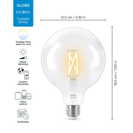 LED Stmievateľná žiarovka FILAMENT G125 E27/7W/230V 2700-6500K CRI 90 Wi-Fi - WiZ