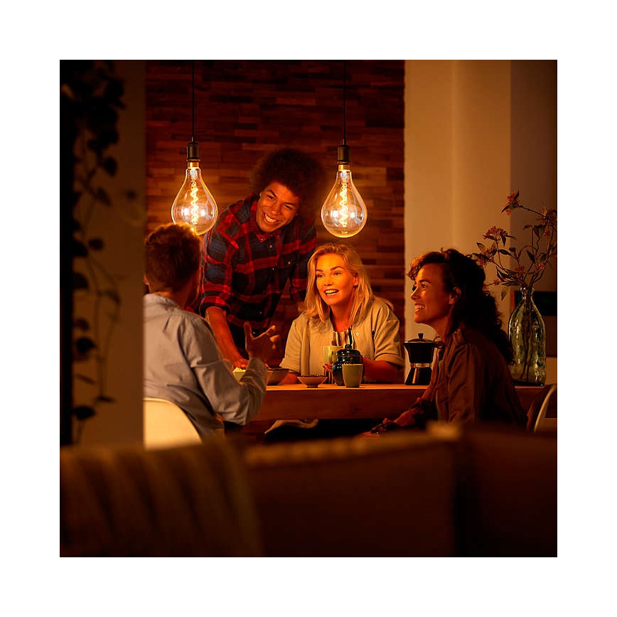 LED Stmievateľná žiarovka VINTAGE DYI E27/4W/230V 2700K - Leuchten Direkt 0846