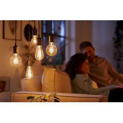 LED Stmievateľná žiarovka VINTAGE Philips G93 E27/4W/230V 1800K