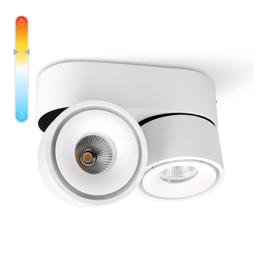 LED Stmievateľné bodové svietidlo LAHTI MINI 2xLED/9W/230V 3000K CRI 90 biela