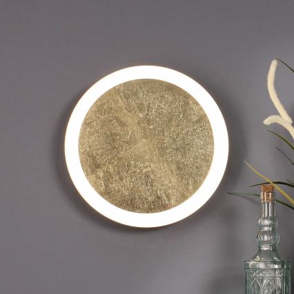 LED Stmievateľné nástenné svietidlo MOON LED/24W/230V