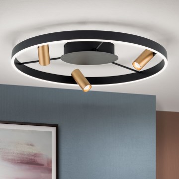 LED Stmievateľné stropné svietidlo BERLIN LED/50W/230V čierna/zlatá