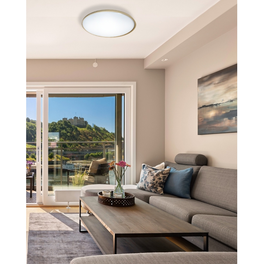 LED Stmievateľné stropné svietidlo DRINA LED/36W/230V 2700-6500K pr. 50 cm + diaľkové ovládanie