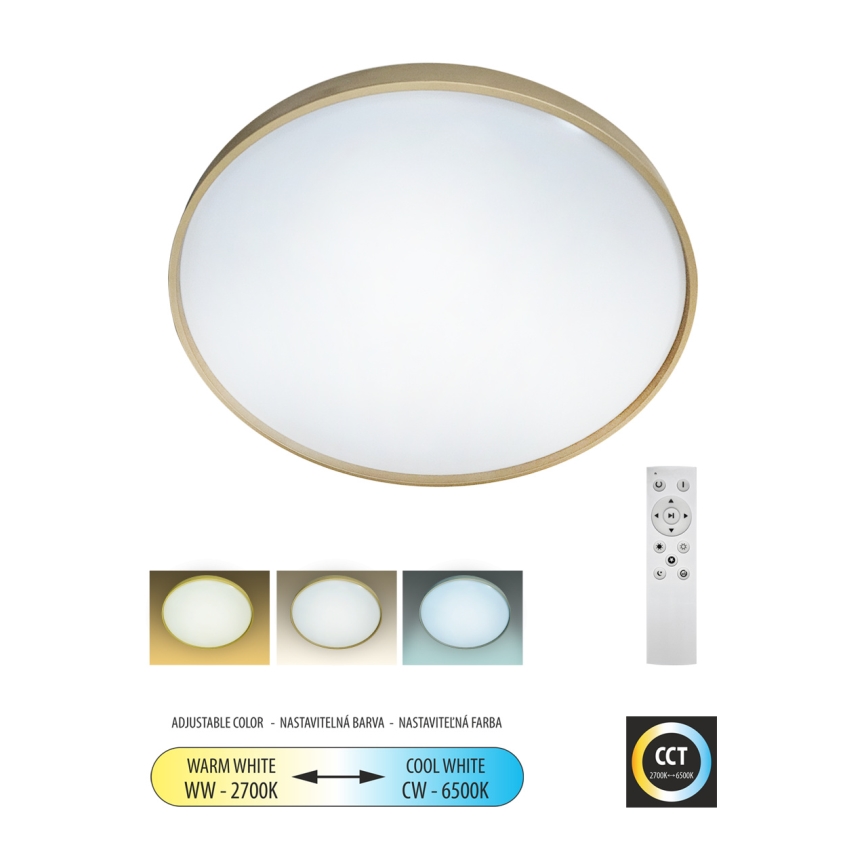 LED Stmievateľné stropné svietidlo DRINA LED/36W/230V 2700-6500K pr. 50 cm + diaľkové ovládanie